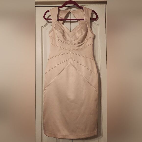 Jessica Simpson Champagne Sheath Dress — Rose Gold Zipper, Elegant Fit, Size 6 - Picture 3 of 6